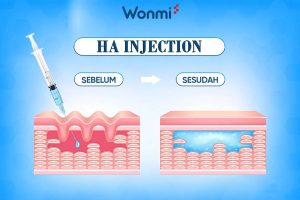 Mekanisme kerja bahan aktif HA
